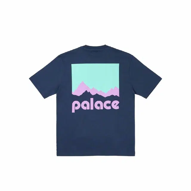 PALACE x Berghaus FW24 T
