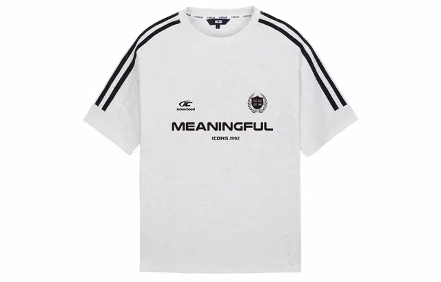 ICONS Lab T