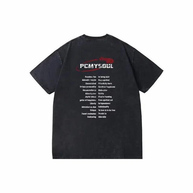 PCMY T