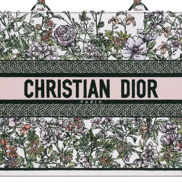 DIOR BookTote Tote