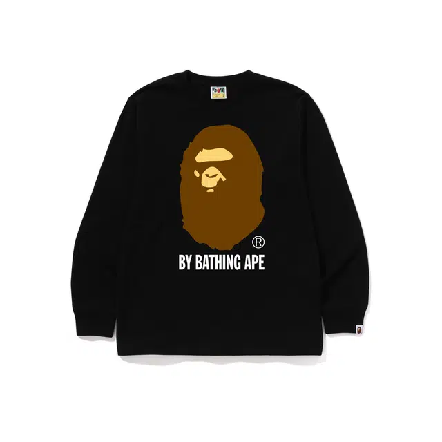 A BATHING APE FW24 T