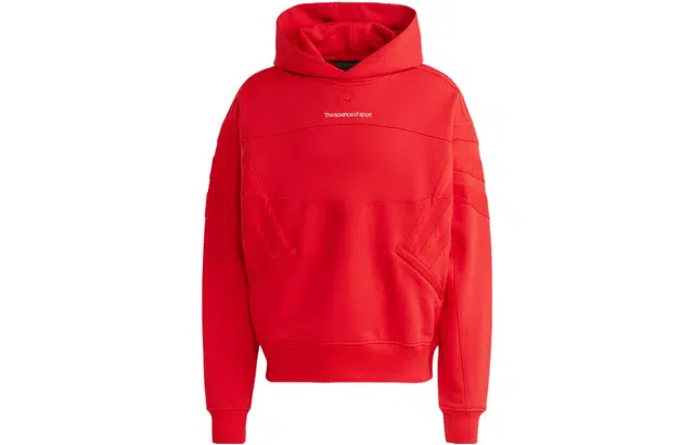 adidas originals Blue Version SAN DIEGO HOODIE
