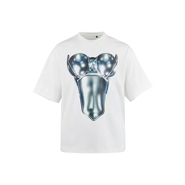 455EMBLE I AM NOT A PRINCESST