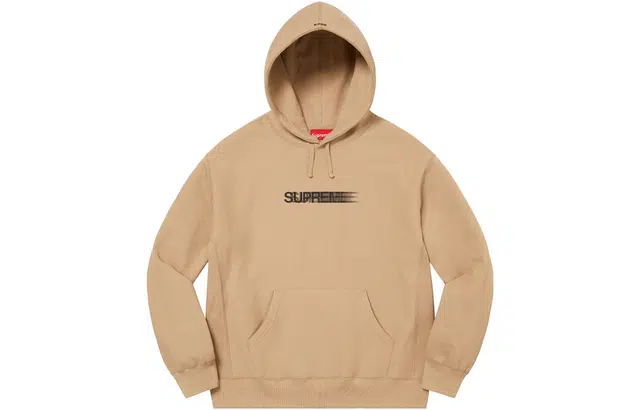 Supreme Motion Logo Hooded Sweatshirt