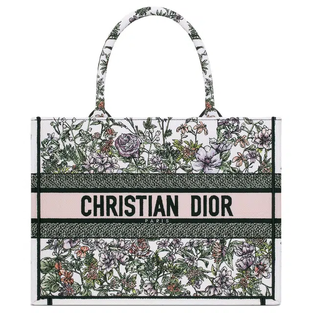 DIOR BookTote Tote