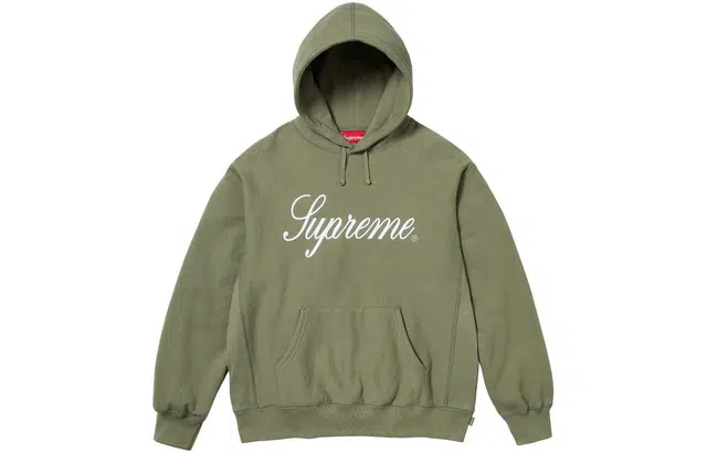 Supreme FW23 WEEK6 RAISED SCRIPT HOODED SWEATSHIRT Logo