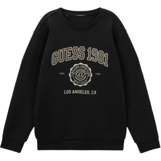 GUESS T