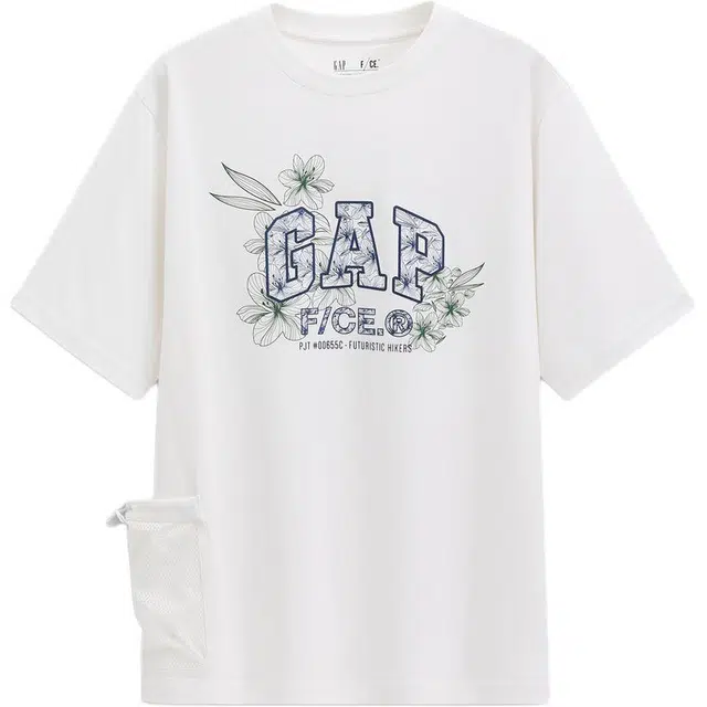 GAP FCE logoT