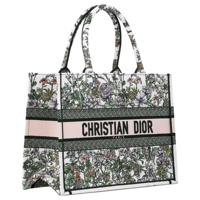 DIOR BookTote Tote