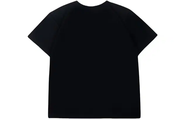 WELTER EXPERIMENT T