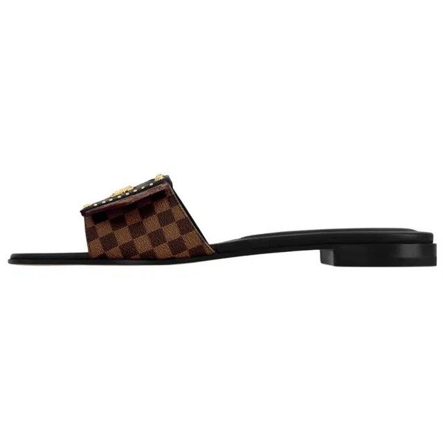 LOUIS VUITTON Frame