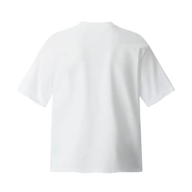 PAINT STAIN cleanfitT