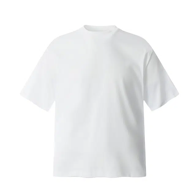 PAINT STAIN cleanfitT