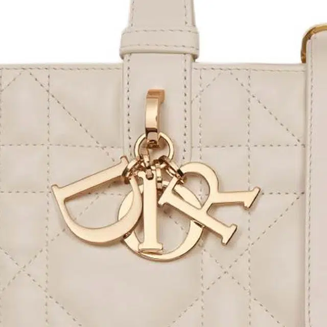 DIOR Toujours Tote
