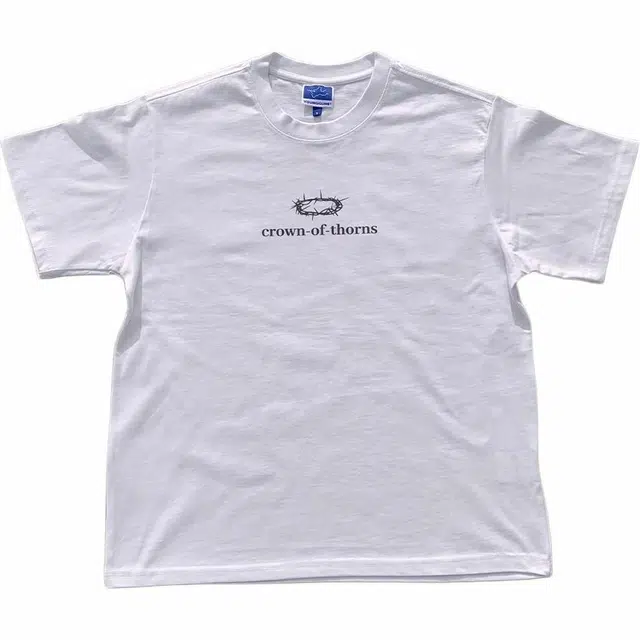 WELTER EXPERIMENT T