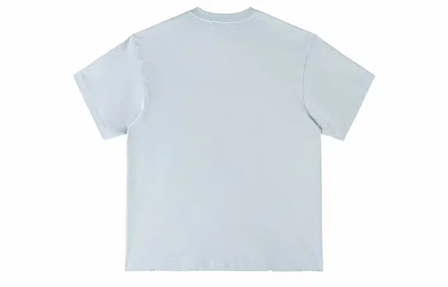 ICONS Lab ICS T
