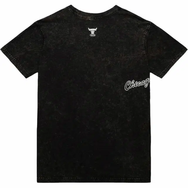 Mitchell Ness x NBA Chicago Bulls Destination Leisure Premium Graphic T