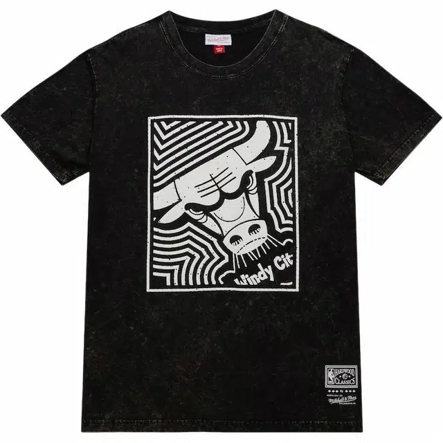 Mitchell Ness x NBA Chicago Bulls Destination Leisure Premium Graphic T