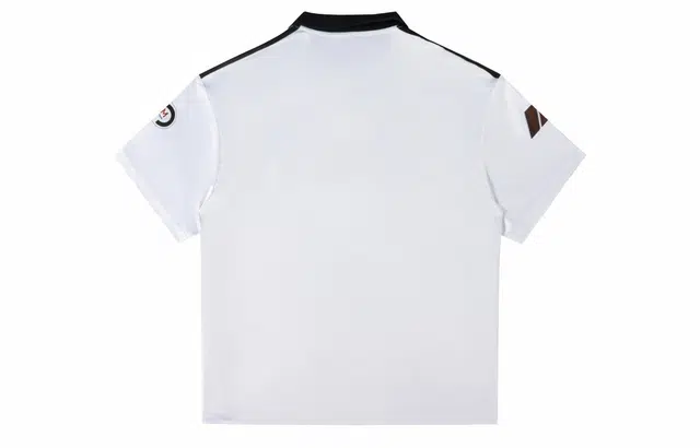 ICONS Lab T