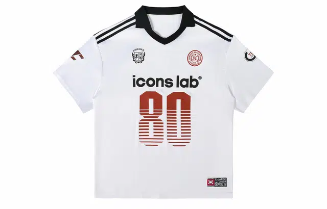 ICONS Lab T