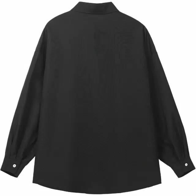 INS