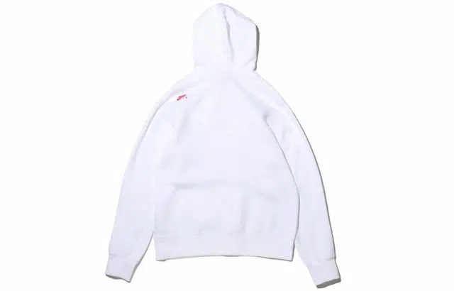 Jordan Brand As Mj Lgc Aj6 Po Hoodie