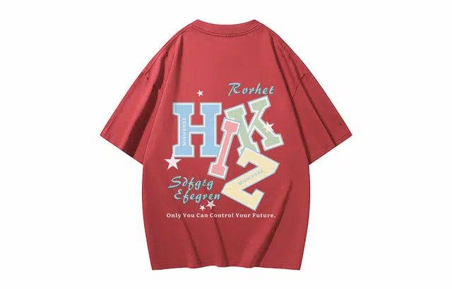 HIKZ logoT