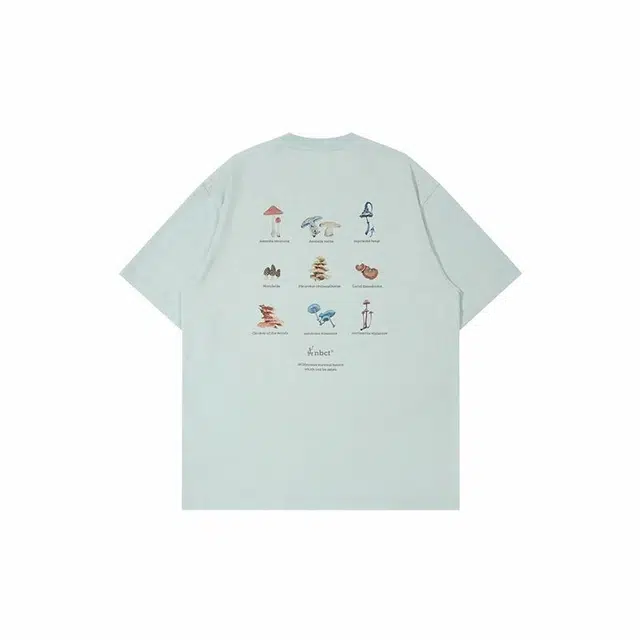 NBCT T