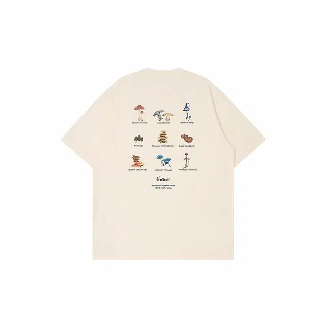 NBCT T