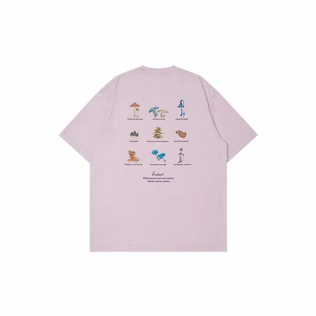 NBCT T