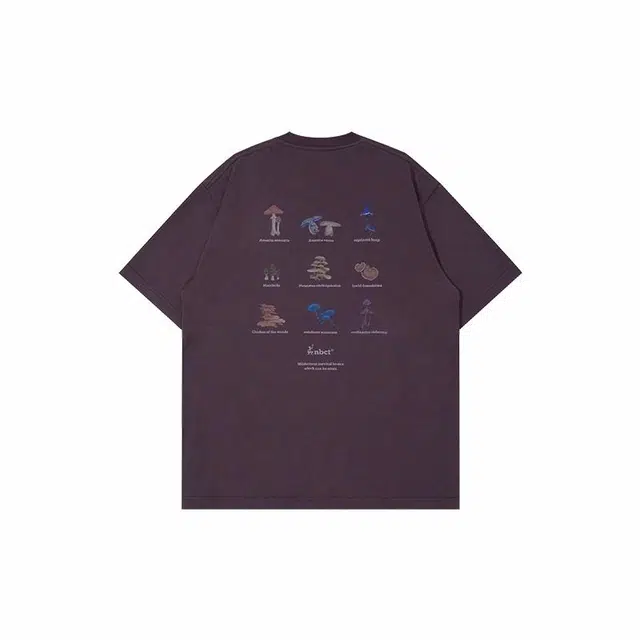 NBCT T