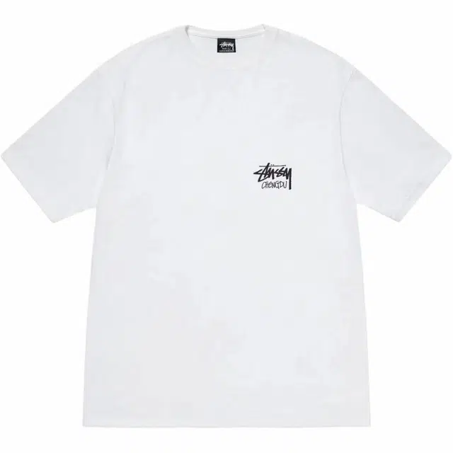 Stussy SS25 logoT