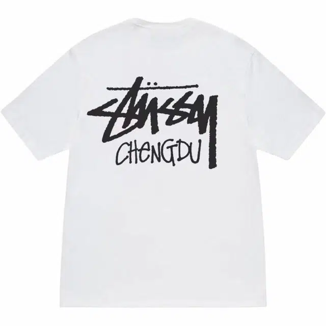 Stussy SS25 logoT
