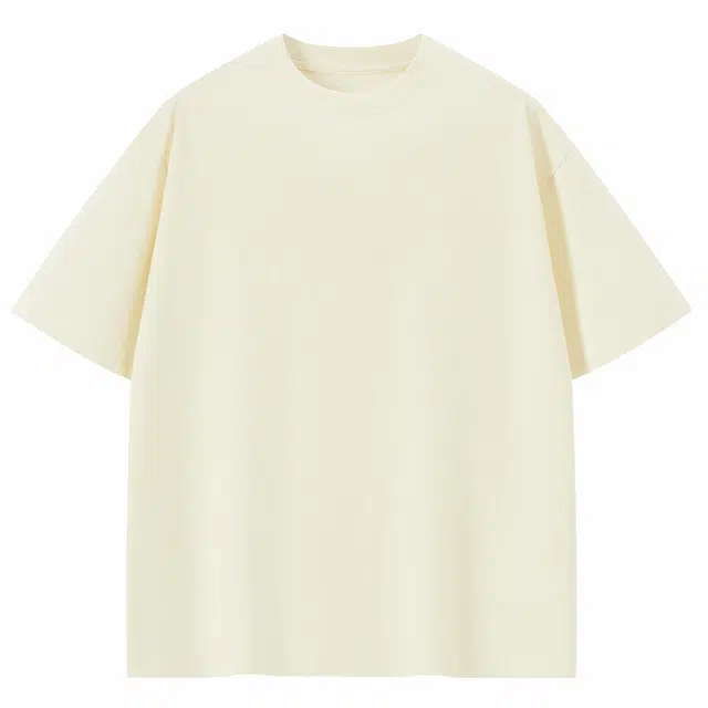 PAUL COSTELLOE cleanfitVintageT