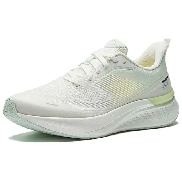 Anta 7