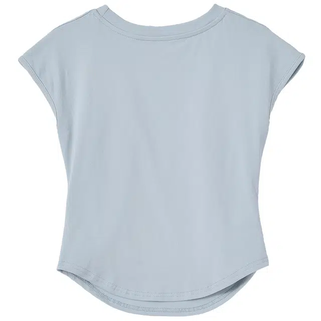 WESTLINK T