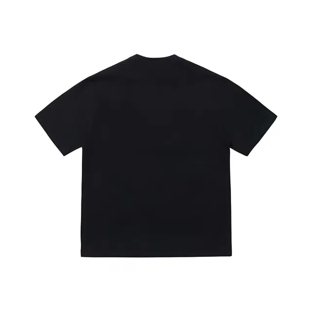 PAINT STAIN T