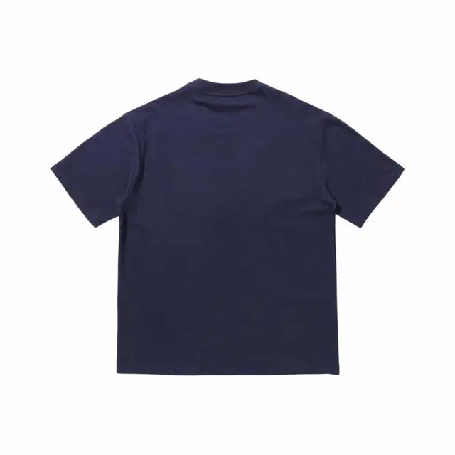 PAINT STAIN T