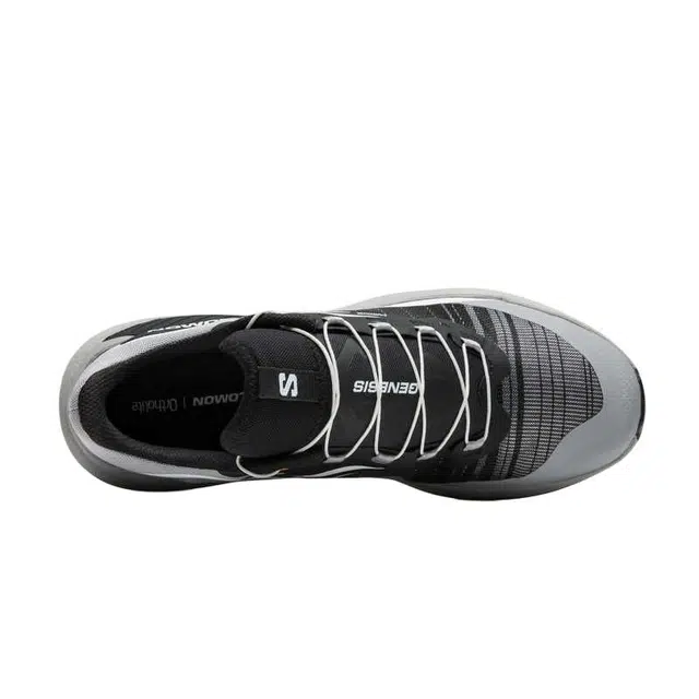 SALOMON GENESIS