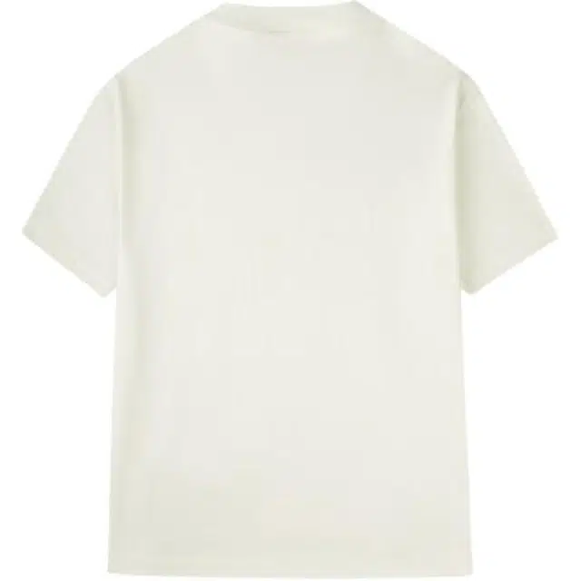 WELTER EXPERIMENT T