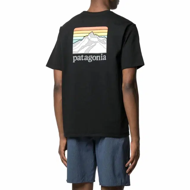 patagonia Responsibili-Tee Logo T