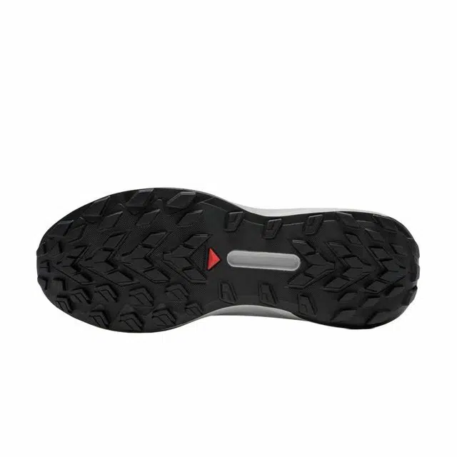 SALOMON GENESIS