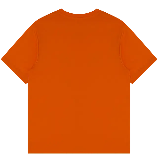 NOISY TEDDY T