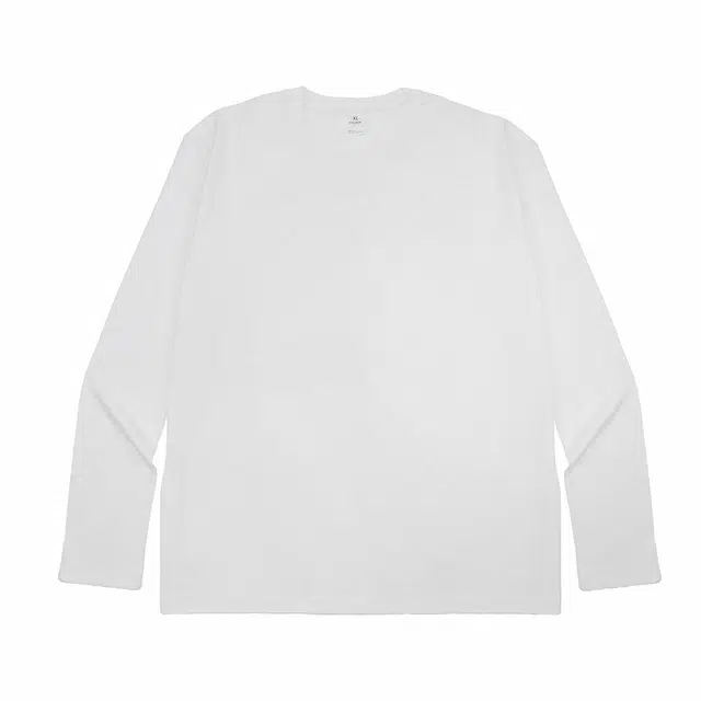 YZ T