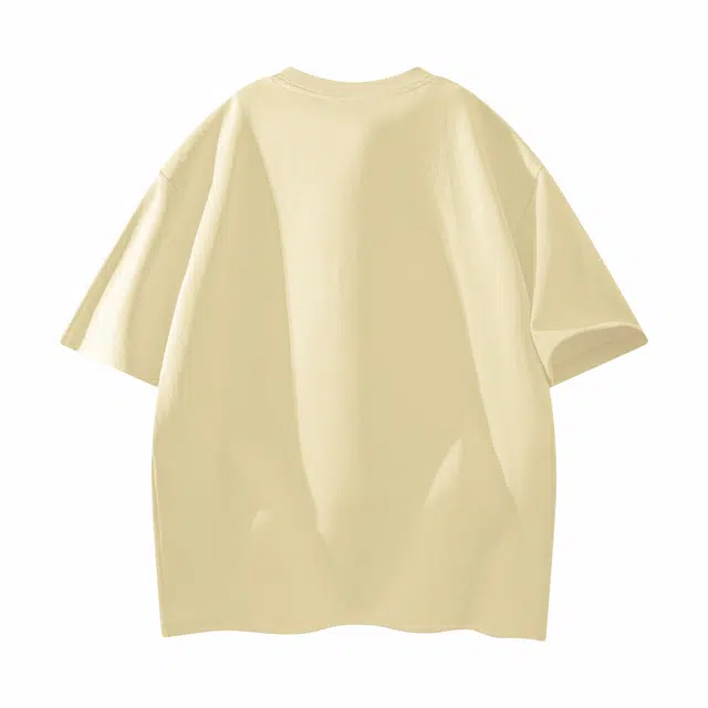 CDISHOU T