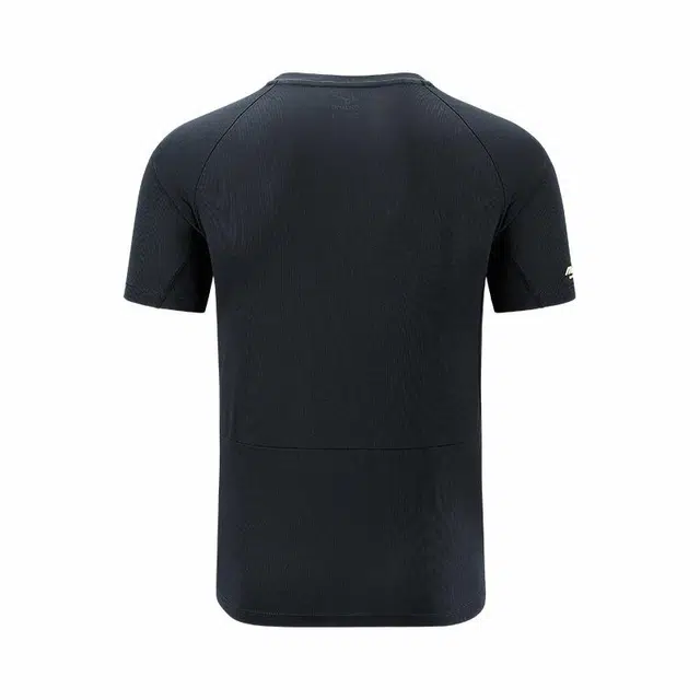 Mizuno T