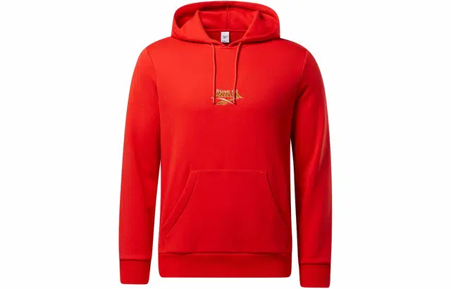 Reebok x KUNG FU PANDA Hoodie