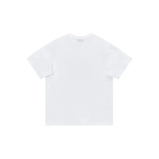 PAINT STAIN TT