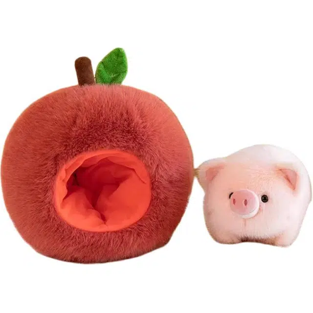 25cm