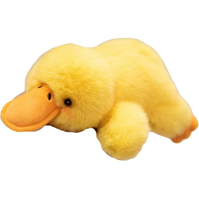 18cm